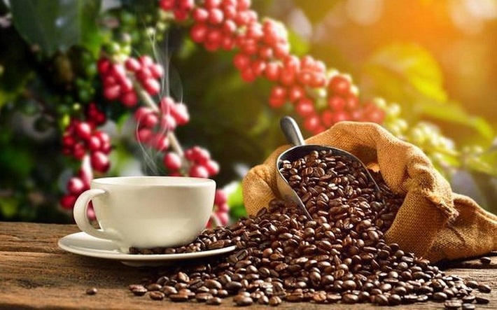 Two-month coffee exports likely to exceed US$1 billion